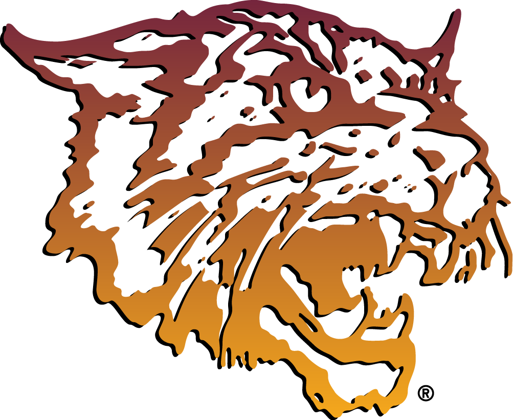 Bethune-Cookman Wildcats 2000-2015 Primary Logo diy DTF decal sticker